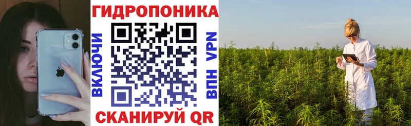 Конопля Amnesia  где найти   ОМГ ОМГ зеркало  Заполярный 